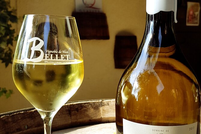 Half-day Wine Tour in Bellet wine region from Nice - Second winery: comparing two approaches