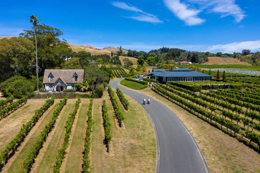 Hawke's Bay: Self Guided Coast to Vineyards Cycle Tour - From Napier’s Marine Parade to the Cape Coast