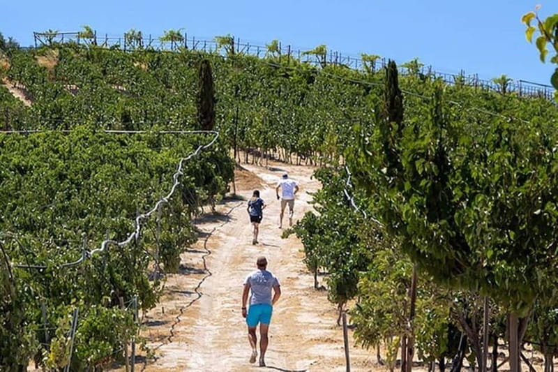 HERAKLION: Wine tasting at Douloufakis Vineyards ARISMARI - A quick escape from Heraklion to Dafnes