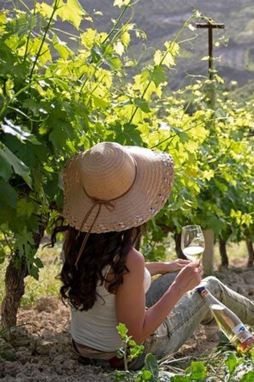 HERAKLION: Wine tasting at Douloufakis Vineyards ARISMARI - Who will enjoy this tasting most?