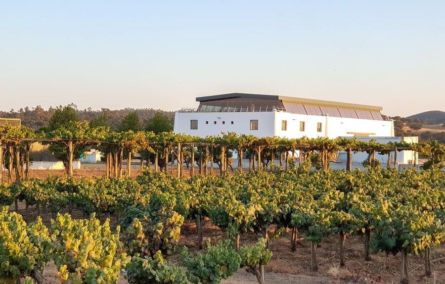 Herdade Canal Caveira - Winery Visit 4 Wines & Tapas - What happens during the 1.5-hour visit