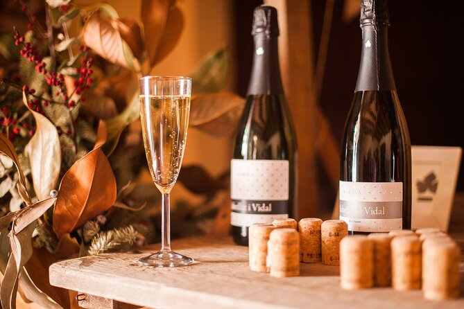 High-End Vineyard Escape: Cava, Tapas & Wine | Private Tour - Is $598.87 Per Person Good Value?