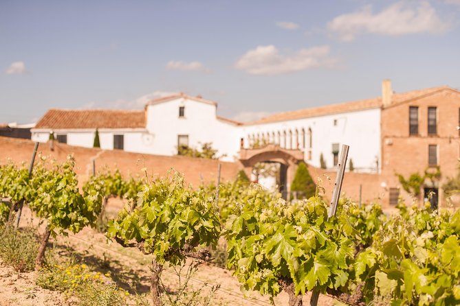 High-End Vineyard Escape: Cava, Tapas & Wine | Private Tour - Who Should Book This Private Wine Tour?