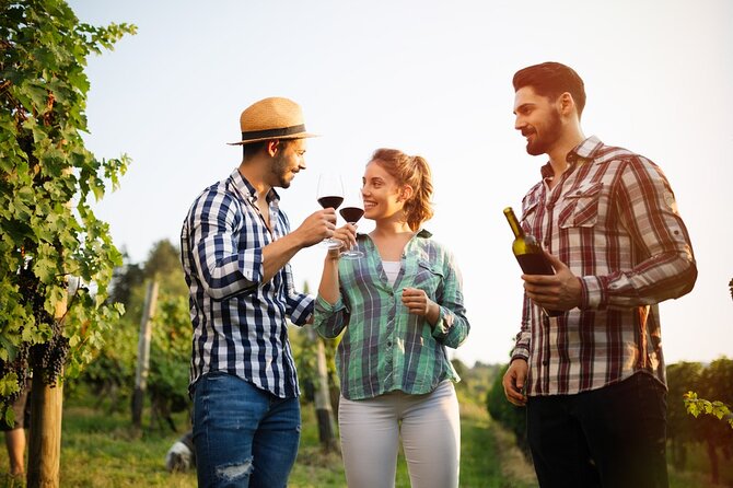 Historic winery visit with food and wine tasting in Marsala - Who will enjoy this experience most