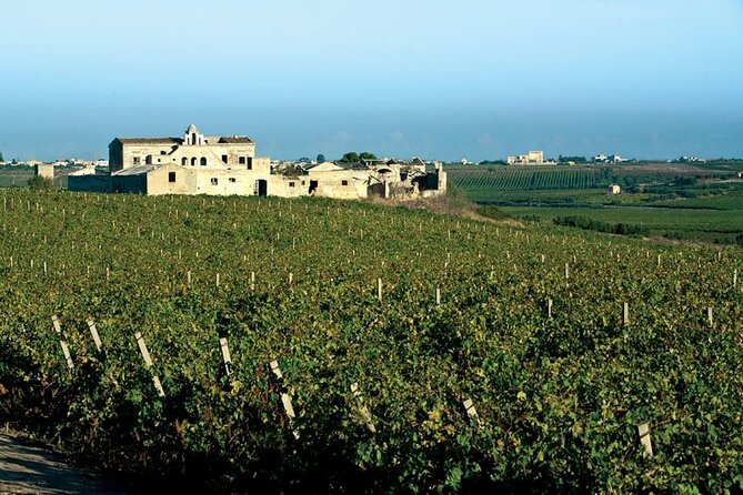 Historic winery visit with food and wine tasting in Marsala - Learning how Marsala wine is made