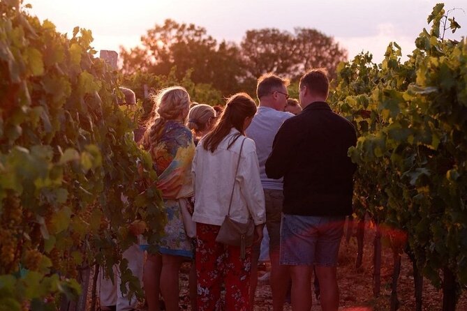 History & Local Wines: Amphitheater, Mitrium and Winery Visit - Is $868.20 per person good value?
