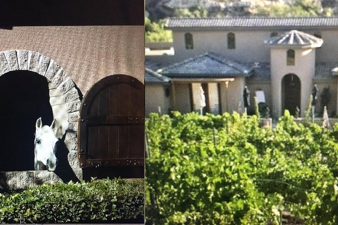 Horse Country Estate and Vineyard Wine Tasting Tour - A Full Day That Links Horses and Wine