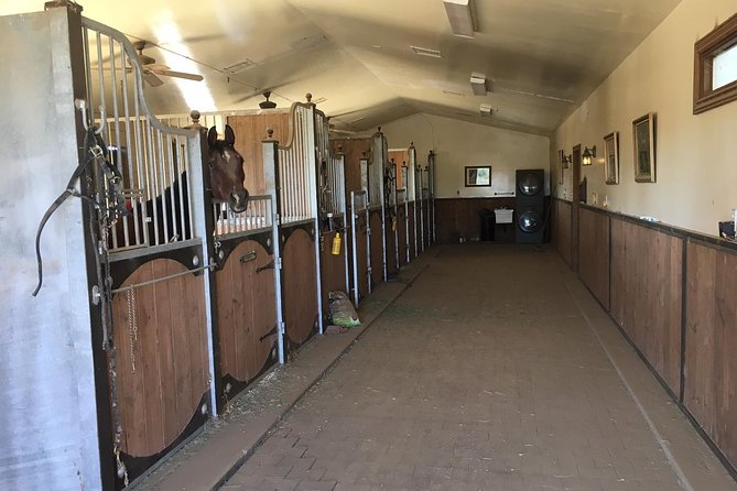 Horse Country Estate and Vineyard Wine Tasting Tour - The Vineyard Tasting With Hors doeuvres