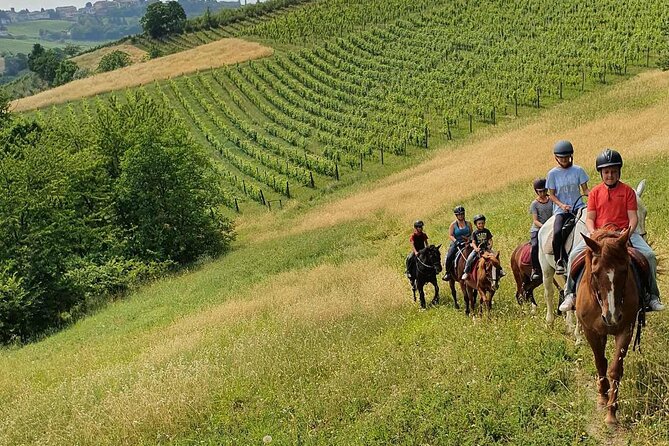 Horse Riding Adventure in Langhe: Piemonte's Scenic Vineyards - Riding out from San Marzano Oliveto