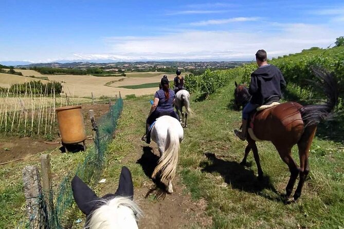 Horse Riding Adventure in Langhe: Piemonte's Scenic Vineyards - Vineyard views, hills, and Alpine weather