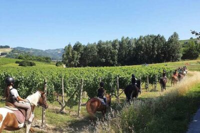 Horse Riding Adventure in Langhe: Piemonte’s Scenic Vineyards