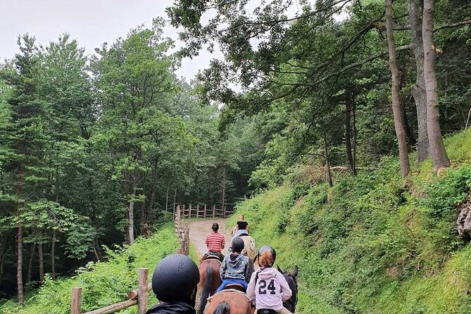 Horse Riding Adventure in Langhe: Piemonte's Scenic Vineyards - A calm alternative to a full wine itinerary
