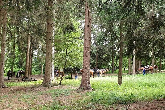 Horse Riding Adventure in Langhe: Piemonte's Scenic Vineyards - Is $54.44 a fair price?