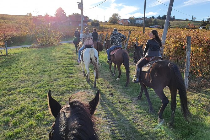 Horse Riding Adventure in Langhe: Piemonte's Scenic Vineyards - Who will enjoy this ride most