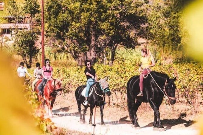 Horse riding in the vineyards of Grimaud + wine tasting - Key points to know before you book