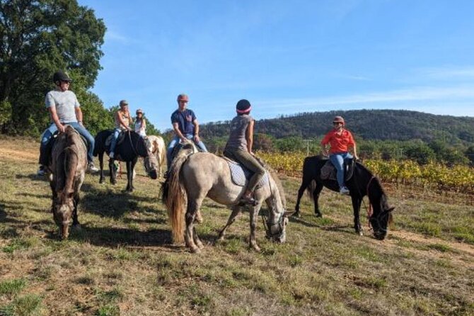 Horse riding in the vineyards of Grimaud + wine tasting - A rural hour beyond Saint-Tropez