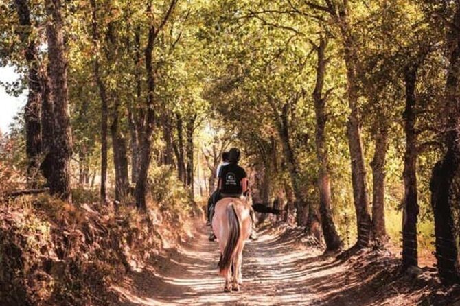 Horse riding in the vineyards of Grimaud + wine tasting - One hour through vineyards and forest