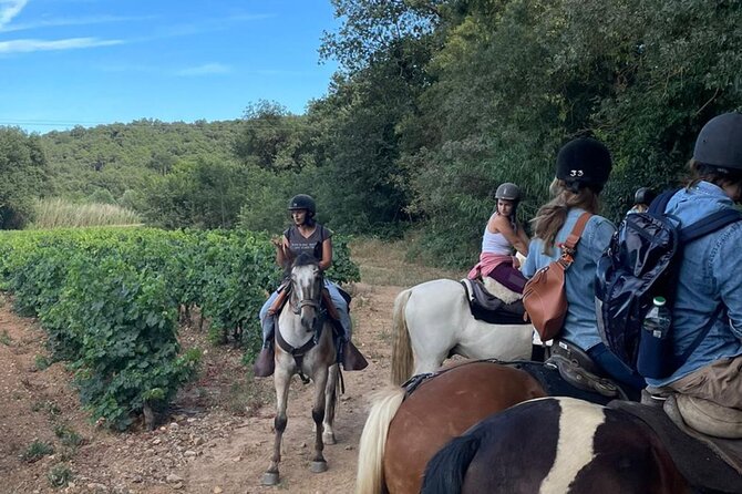 Horse riding in the vineyards of Grimaud + wine tasting - My take on the coaching and atmosphere