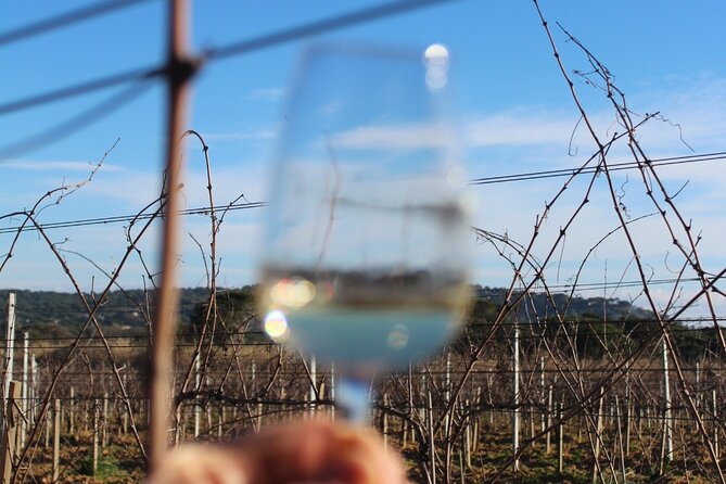 Horse riding in the vineyards of Grimaud + wine tasting - Meeting the horses in Grimaud