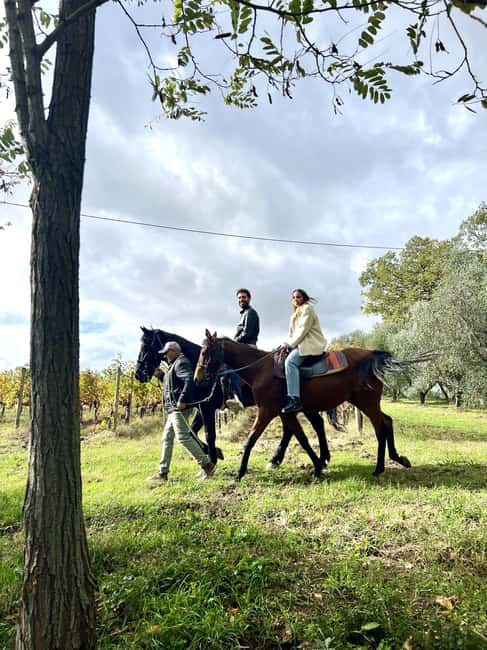 Horseback Ride Through the Vineyards of Montepulciano - What the views mean for your day