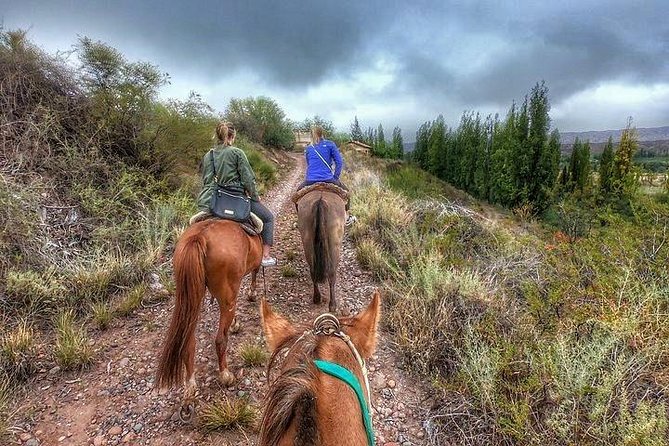 Horseback ride through vineyards followed by gourmet lunch - Key points to know before you book