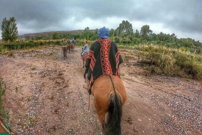Horseback ride through vineyards followed by gourmet lunch - Why the vineyard ride is the real attraction