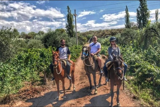 Horseback ride through vineyards followed by gourmet lunch - Should you book the ride and lunch?