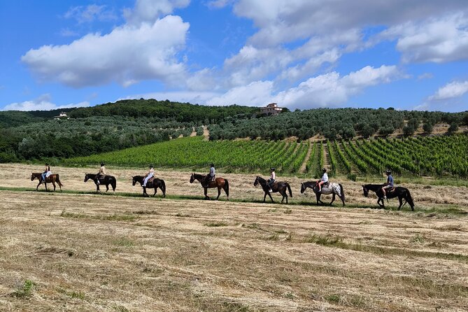 Horseback Riding in the Vineyards - Key points to know before booking