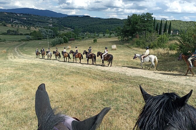 Horseback Riding in the Vineyards - What the 90-minute schedule really includes
