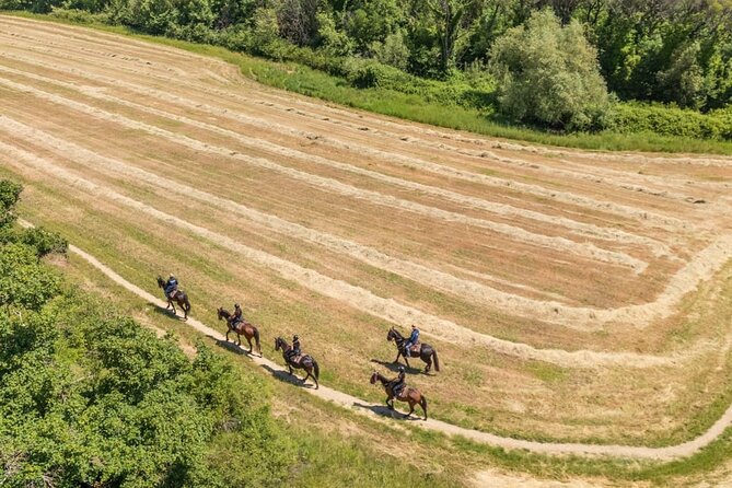 Horseback Riding in the Vineyards - Riding past vineyards and olive groves
