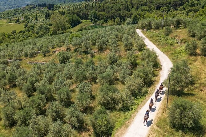 Horseback Riding in the Vineyards - Why beginners should feel comfortable booking