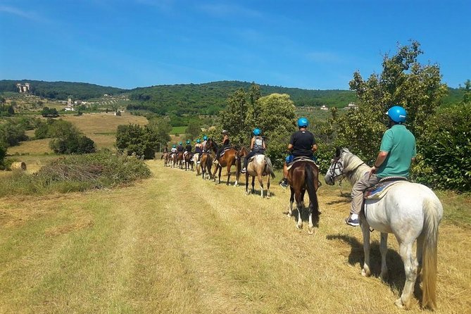 Horseback Riding in the Vineyards - A closer look at the Torre a Cona setting