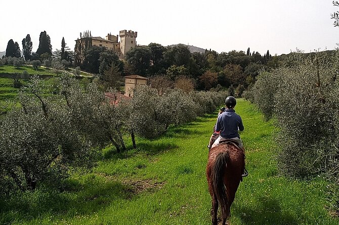 Horseback Riding in the Vineyards - What makes the horses part of the experience