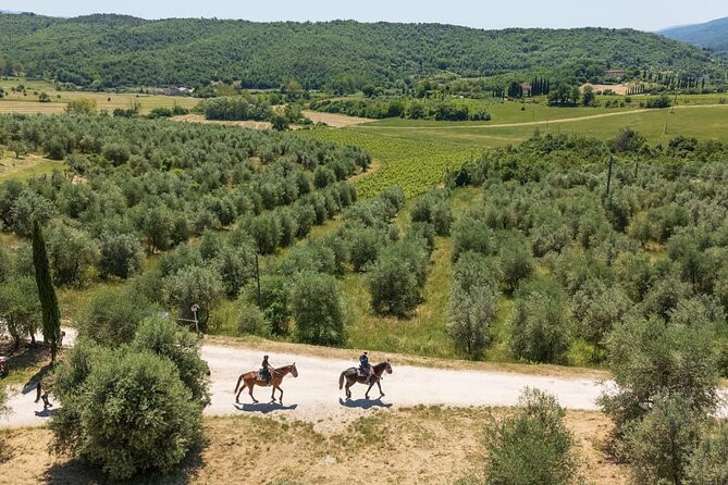 Horseback Riding in the Vineyards - Group size, guide attention, and the overall mood