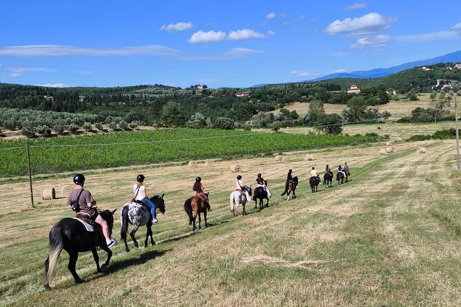 Horseback Riding in the Vineyards - Meeting your horse at Crazy Horse Ranch