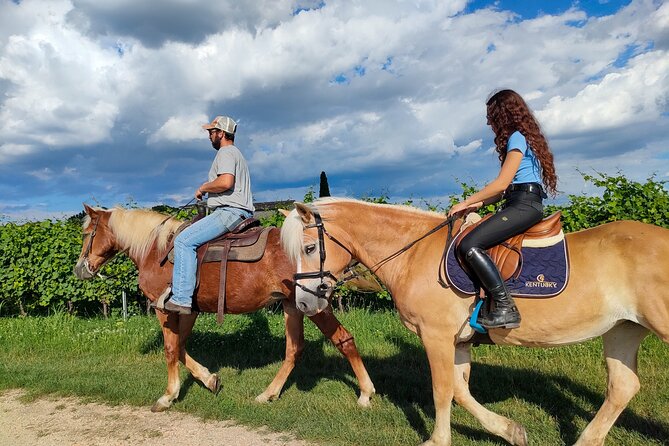 Horseback Riding with wine tasting in Lake Garda vineyards - Meeting the horses and riding as a beginner