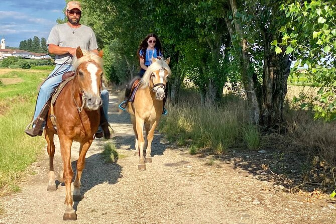 Horseback Riding with wine tasting in Lake Garda vineyards - What the $157.21 price really covers