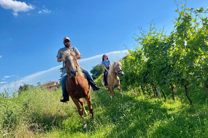 Horseback Riding with wine tasting in Lake Garda vineyards - Who will enjoy this three-hour outing