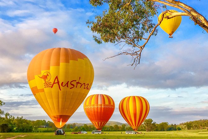 Hot Air Balloon Flight Brisbane with Vineyard Breakfast - The 4:00 am start from Nerang or Canungra