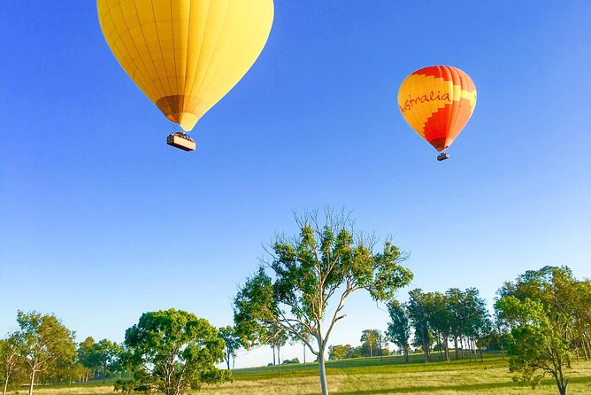 Hot Air Balloon Flight Brisbane with Vineyard Breakfast - Breakfast at O’Reilly’s Canungra Valley Vineyards