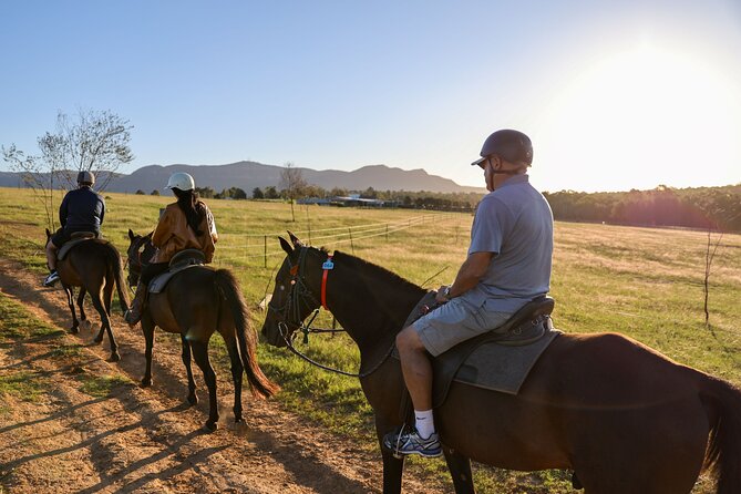 Hunter Valley Horse Ride - 90 Minutes -Vineyard & Mountain Views - Key points before you book