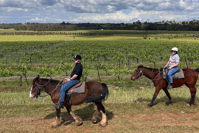 Hunter Valley Horse Ride - 90 Minutes -Vineyard & Mountain Views - Riding out from Pokolbin at 12:20 pm