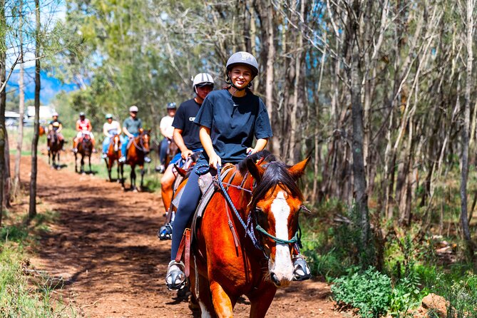 Hunter Valley Horse Ride - 90 Minutes -Vineyard & Mountain Views - Who will get the most from this ride