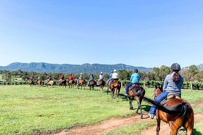 Hunter Valley Horse Ride - 90 Minutes -Vineyard & Mountain Views - Price, group size, and overall value