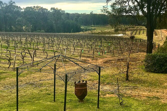 Hunter Valley Wine Tour from Sydney: 3 Wineries & Vineyard Picnic - The Pokolbin picnic is the day’s relaxed finish
