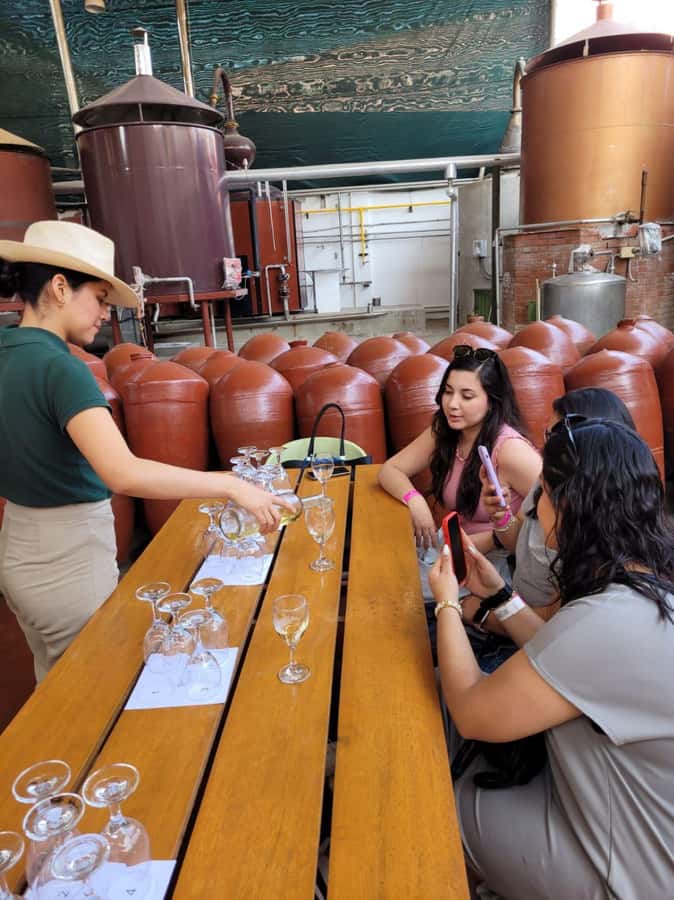 ICA: Pisco and Wine Route with tasting in 03 Wineries - Key points at a glance