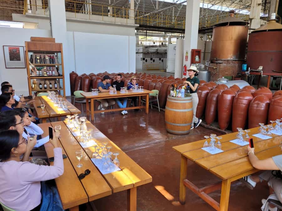 ICA: Pisco and Wine Route with tasting in 03 Wineries - Why Ica is the right place for a pisco and wine tour