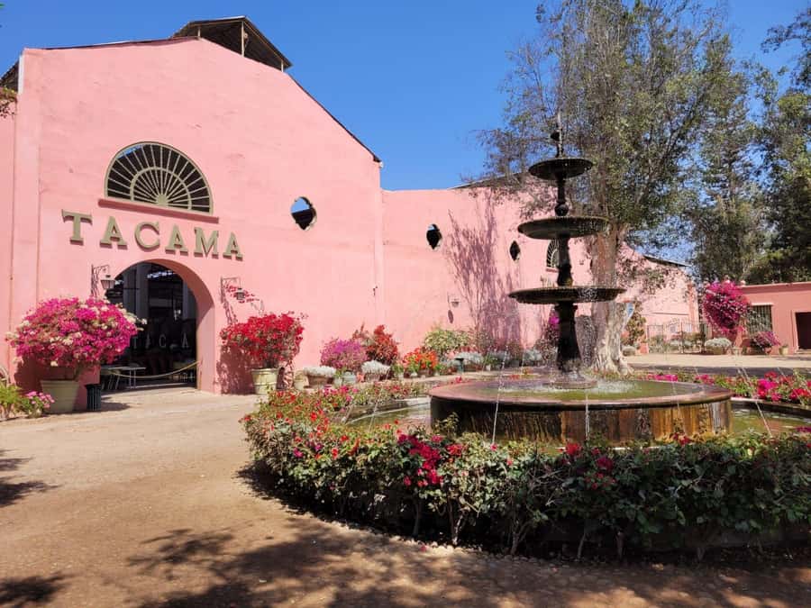ICA: Pisco and Wine Route with tasting in 03 Wineries - Learning how pisco becomes pisco