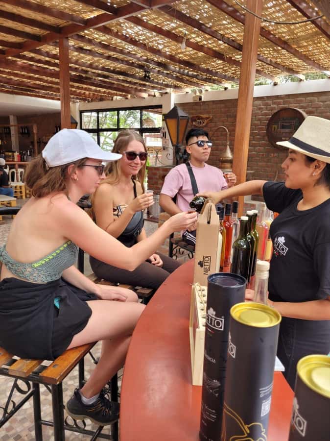 ICA: Pisco and Wine Route with tasting in 03 Wineries - Vineyard views and grape varieties