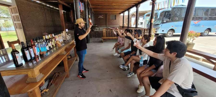 ICA: Pisco and Wine Route with tasting in 03 Wineries - Second tasting: local wines and pairings